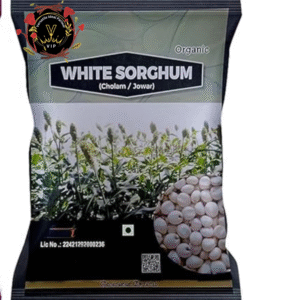 Sorghum (Jowar)